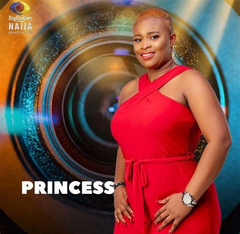 BBN Season 6 housemates: Meet the boss ladies - Vanguard News