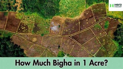 1 Acre to Bigha Conversion: How Much Bigha in 1 Acre?