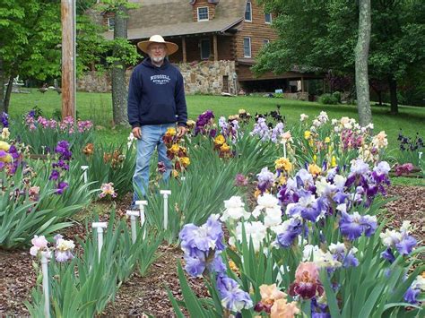 How irises grow | Exline Iris Garden | Iris flowers garden, Growing irises, Iris garden