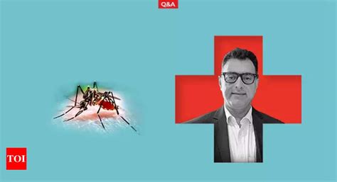 How to navigate this dengue season | India News - Times of India