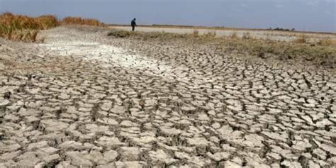 India To Witness More Frequent Drought Years In Future: Study