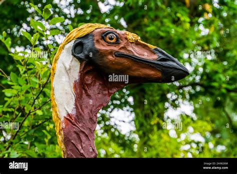 the face of a fake elephant bird statue, Extinct animal specie from ...