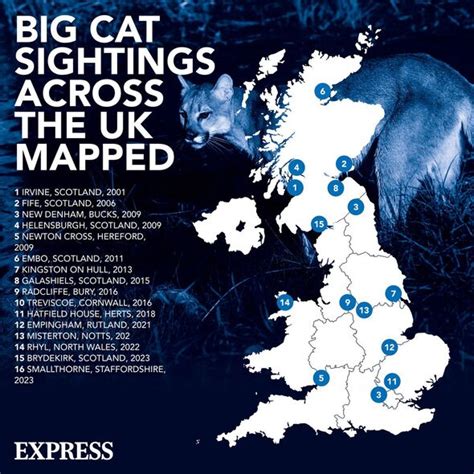 Big cat sightings across the UK mapped from Scotland to Wales and England | UK | News | Express ...