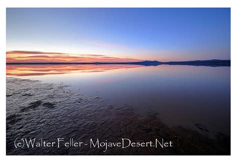 Definition of Ephemeral - Mojave Desert - Glossary of Terms and Definitions