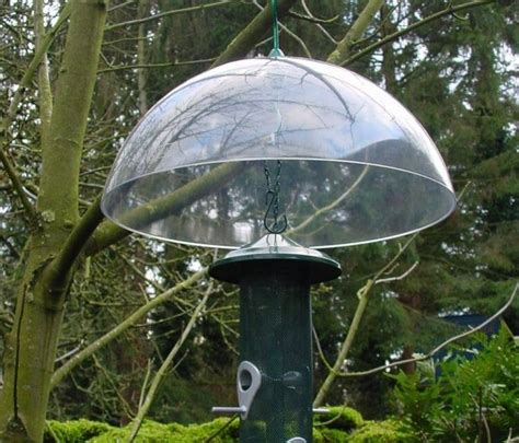 Best Squirrel Baffle: Our Top 5 [2022 Buying Guide & Reviews] - Birdwatching Buzz