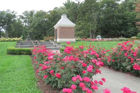 changes and perennial beauty at the Rose Garden | suns along the Mohawk