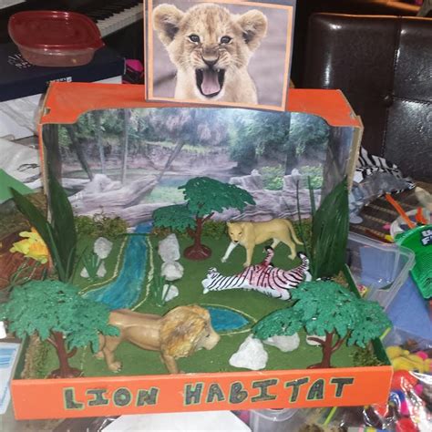 3rd Grade Lion Diorama Project for the Lion Habitat. | Native american ...