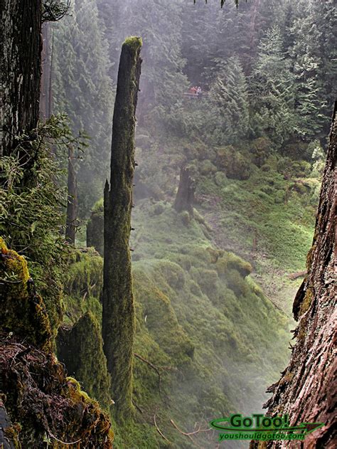 McKenzie River Trail Waterfalls, Oregon