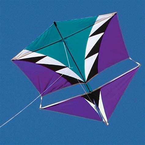 Into The Wind Vertical Visuals' Roller Kite Review