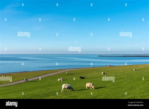 Wadden sea national park schleswig holstein hi-res stock photography ...