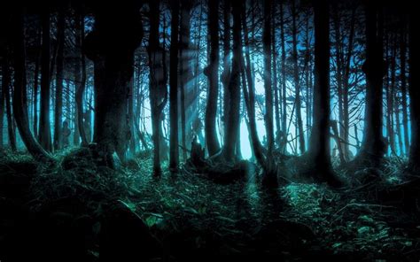 forest wallpaper #forest #nature fantasy art #dark #trees #1080P # ...