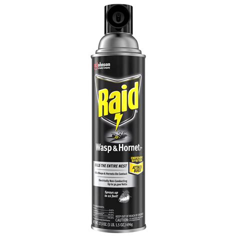 Raid Wasp & Hornet Killer 33 - Shop Insect Killers at H-E-B