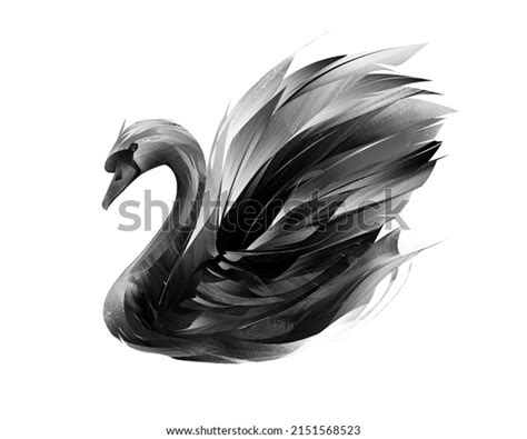 8,142 Black Swan Drawing Images, Stock Photos & Vectors | Shutterstock