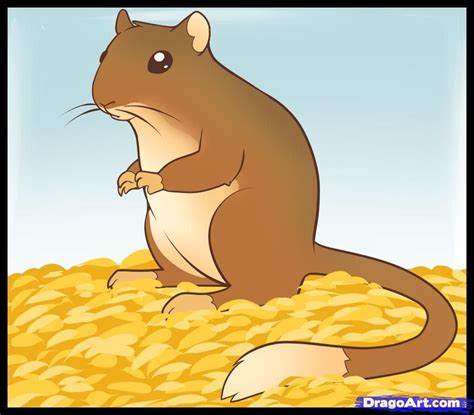 How to draw a gerbil - Hundreds of drawing tuts on this site | Drawings ...