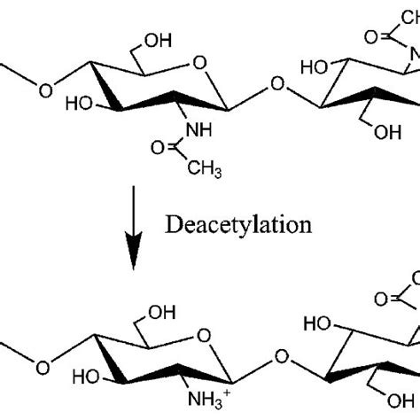 Structure of chitin and chitosan. | Download Scientific Diagram