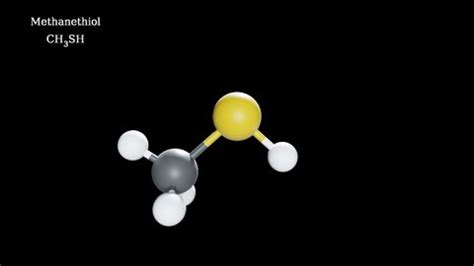 Methanethiol Molecule 3d Model Structure Animation Stock Footage Video (100% Royalty-free ...