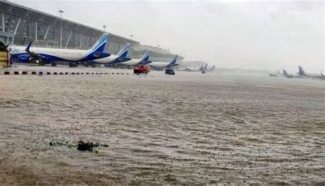 Tamil Nadu: Cyclone Michong effect flood terror in Chennai: Govt declares public holiday ...