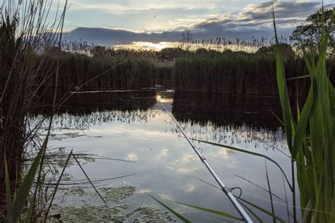 Disappearing into the isolation of Mazonia State Fish and Wildlife Area ...