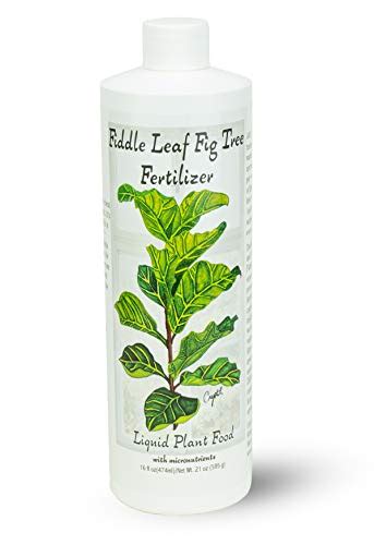 Fiddle Leaf Fig Tree Fertilizer (16 oz) Ficus Plant Food | Improves ...