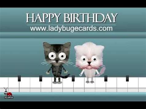 Happy Birthday Free Funny Ecards Animated Cats Dancing On A Piano Greeting E Cards Ladybugecardscom