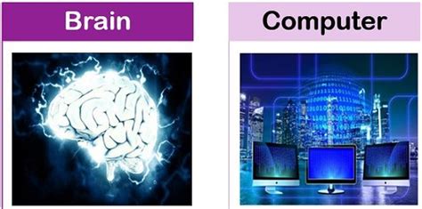 Difference Between Brain and Computer (with Comparison Chart) - Tech Differences