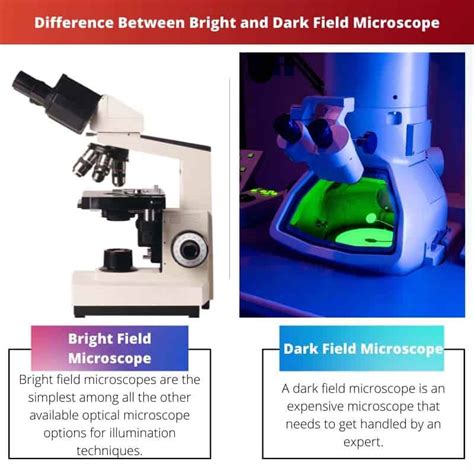 Bright vs Dark Field Microscope: Difference and Comparison