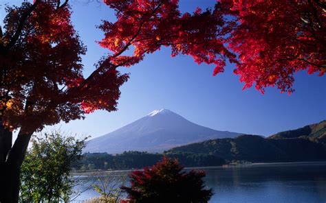 Mount Fuji Reflection Wallpapers - Wallpaper Cave