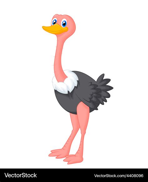 Cute ostrich cartoon Royalty Free Vector Image