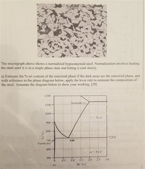 Solved The micrograph above shows a normalized hypoeutectoid | Chegg.com