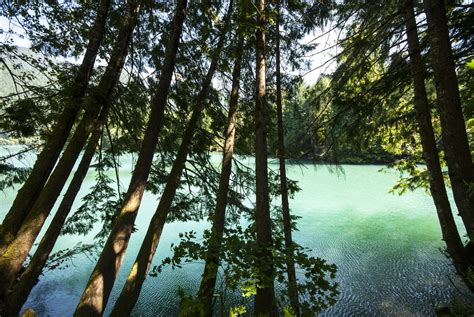 Baker Lake, Bayview South Group Campsite - Mount Baker-Snoqualmie National Forest - camping in ...