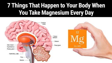 7 Things That Happen to Your Body When You Take Magnesium Every Day