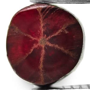 0.69-Carat Dark Red Unheated Trapiche Ruby from Mogok, Burma :: $259 ...