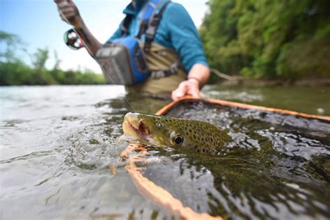 Top 5 Best Fly Fishing Nets (2023 Buyer's Guide) - Into Fly Fishing