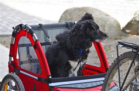 Red and black Trailer Bicycle for Pets Bike Trailer KUANDARGG Dog ...