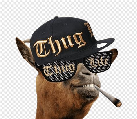 Thug Life Internet meme Video, snoop dogg, celebrities, hat, meme png | PNGWing