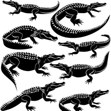 Alligator Silhouette Image, Alligator Vector Design, Alligator Vector Silhouette PNG Transparent ...