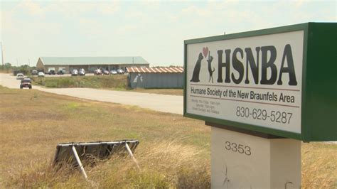 New Braunfels Humane Society facility overrun with animals | kens5.com