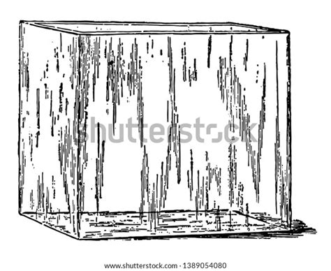 Rectangular Glass Aquarium Which Aquarium Glass Stock Vector (Royalty Free) 1389054080 ...