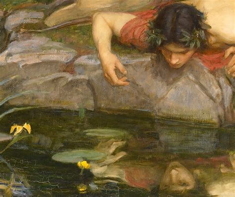 The Narcissus Myth: Early Poets and Versions of the Ancient Story ...