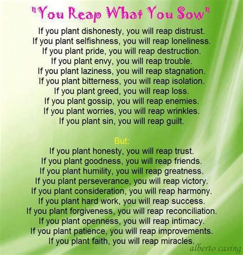 You reap what you sow. | Reap what you sow, Inspirational words, Quotes