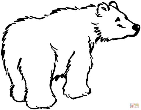 Dibujo de Dibujo de un oso pardo distraido para colorear | Dibujos para ...