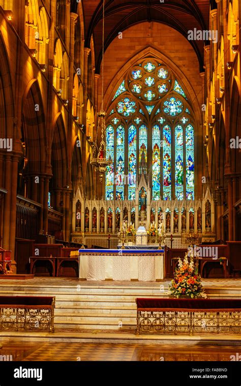 Interior St Marys Cathedral Sydney New South Wales Australia Stock ...