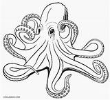 Octopus Printable Coloring Pages sketch template