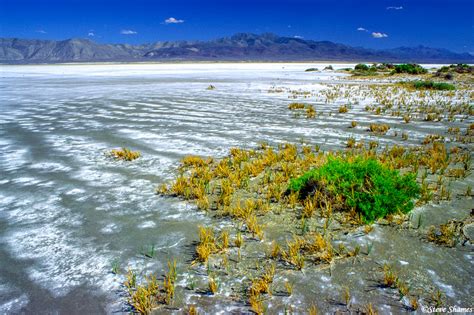 Black Rock Desert | Black Rock Desert, Nevada | Steve Shames Photo Gallery