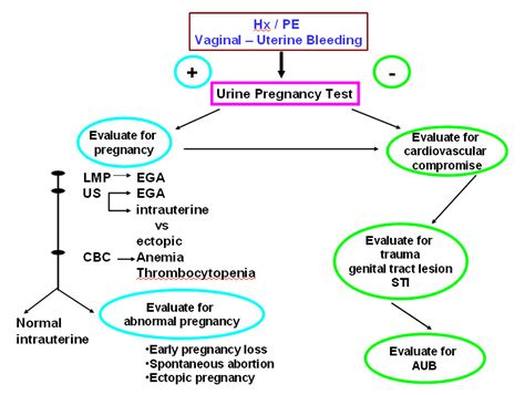 Disordered uterine bleeding - Cancer Therapy Advisor