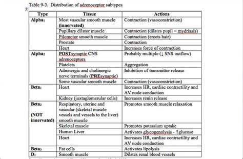 alpha and beta receptors location - Google Search: | Alpha and beta receptors, Pharmacology ...