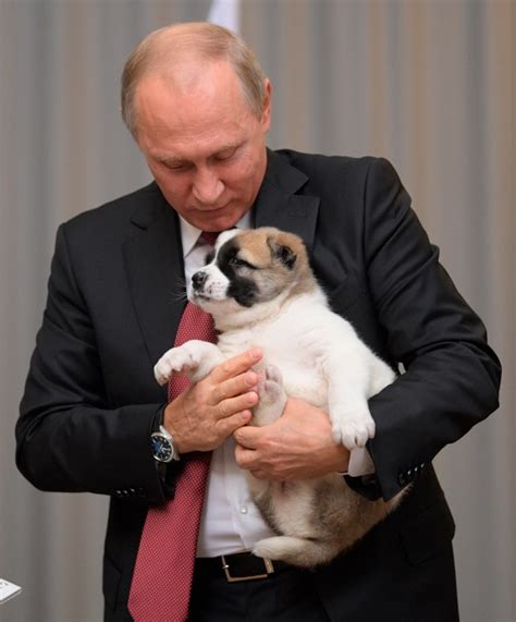 Present for Putin: A puppy named Verny