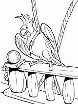 Cute Parrot Coloring Pages PDF  Coloringfoldercom sketch template
