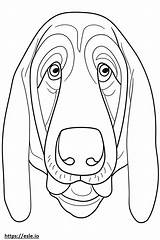 Basset Hound Face coloring Page sketch template