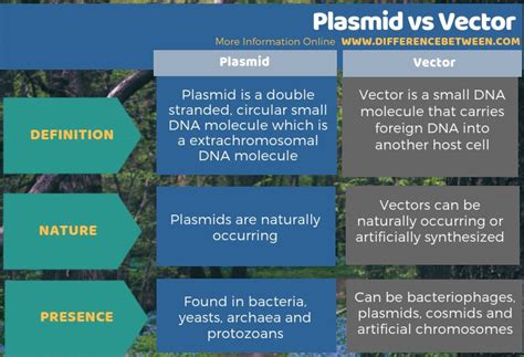 types of plasmid in bacteria